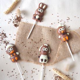 Chocolate lollipops