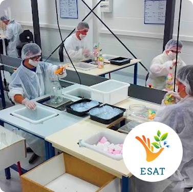 Groupe Esat